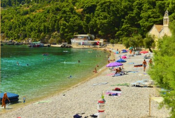 Gusarica Vis Komiza3