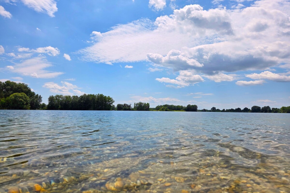 Legrad11