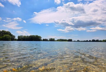 Legrad11