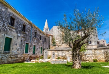bale-istra6