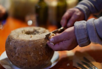 casu-marzu-sir