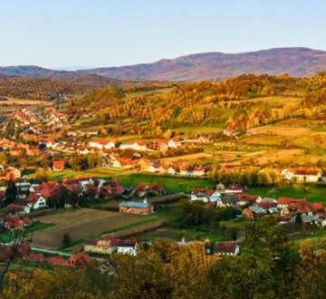 cernik