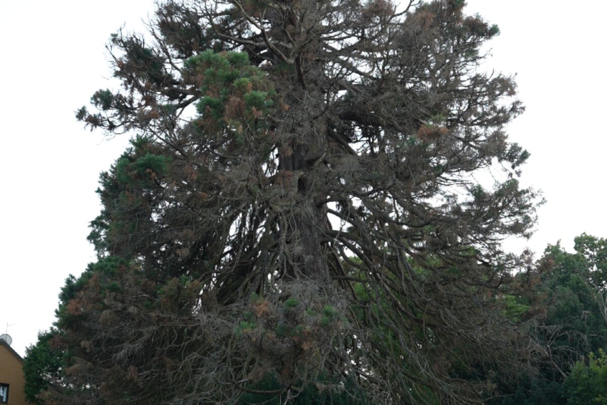 dario-dalmacija-park-atlas-4