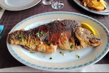 darko-grdunac-restoran-papalina-dobra-hrana-riba