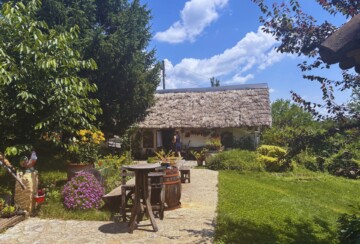 gresna-pilnica-1