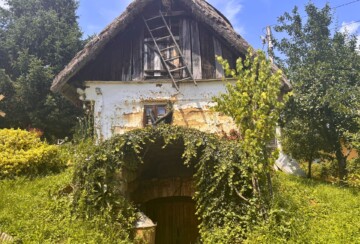 gresna-pilnica-6