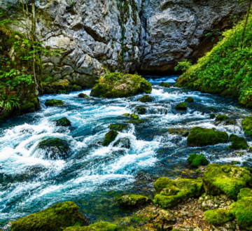 izvor-rijeke-sane