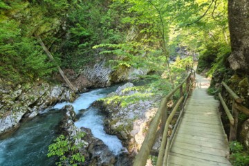 kanjon-vintgar-bled-slovenija