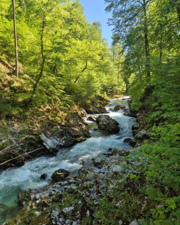 kanjon-vintgar-bled-slovenija5