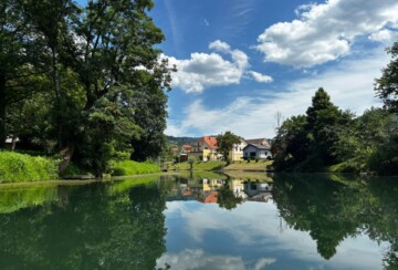 kostanjevica-na-krki-slovenija-kajak-2