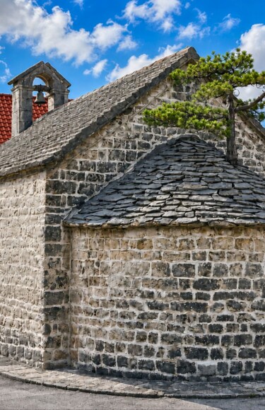 otok-brac-bracki-bonsai
