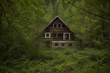 petrova-gora-naslovna-chat