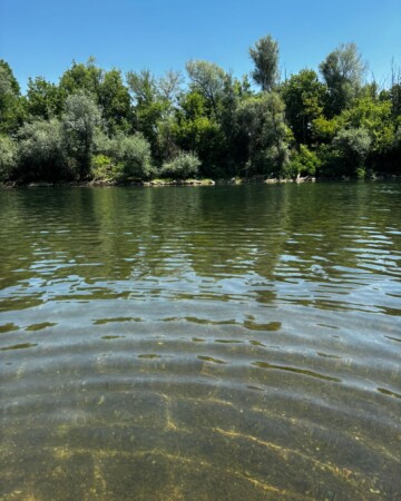 plaža-letovanić