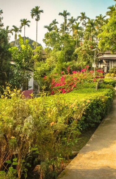 selo Mawlynnong Indija