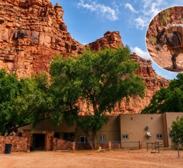 selo-supai-arizona-2