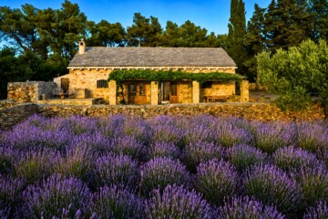 villa-humac-hvar-naslovna