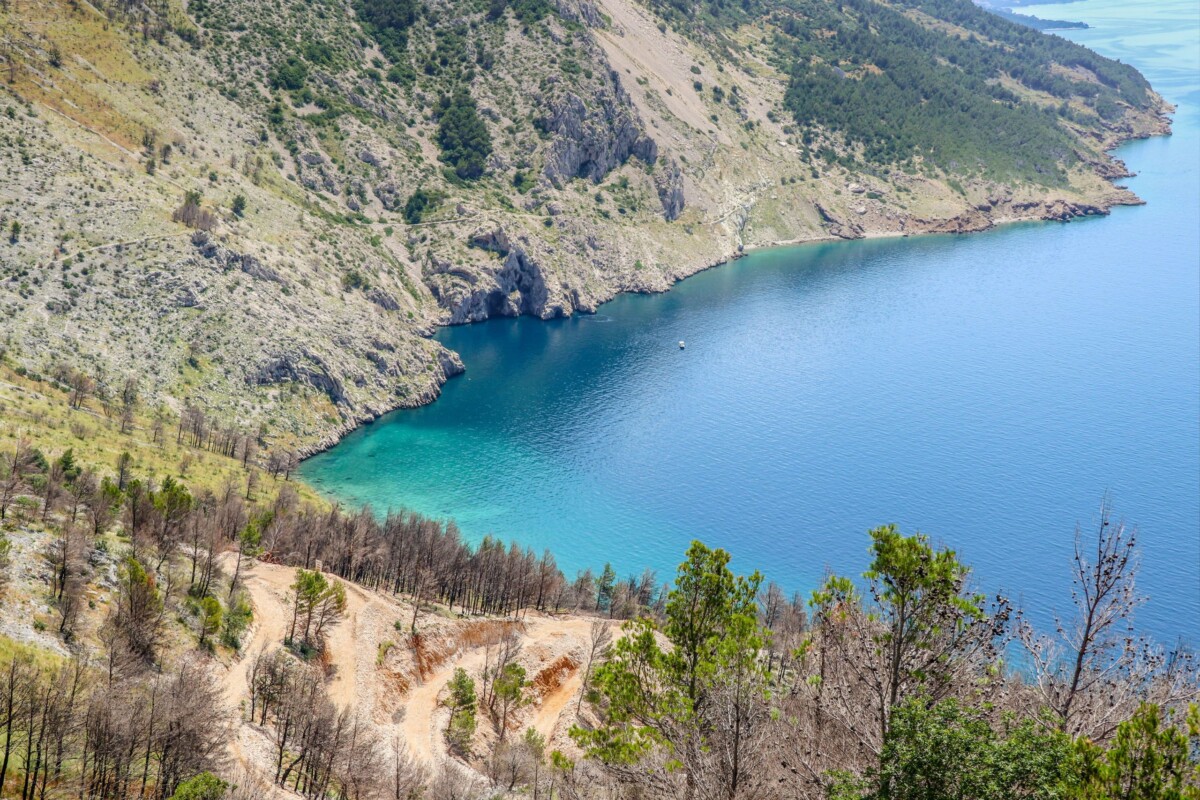 vruja-brela-naslovna