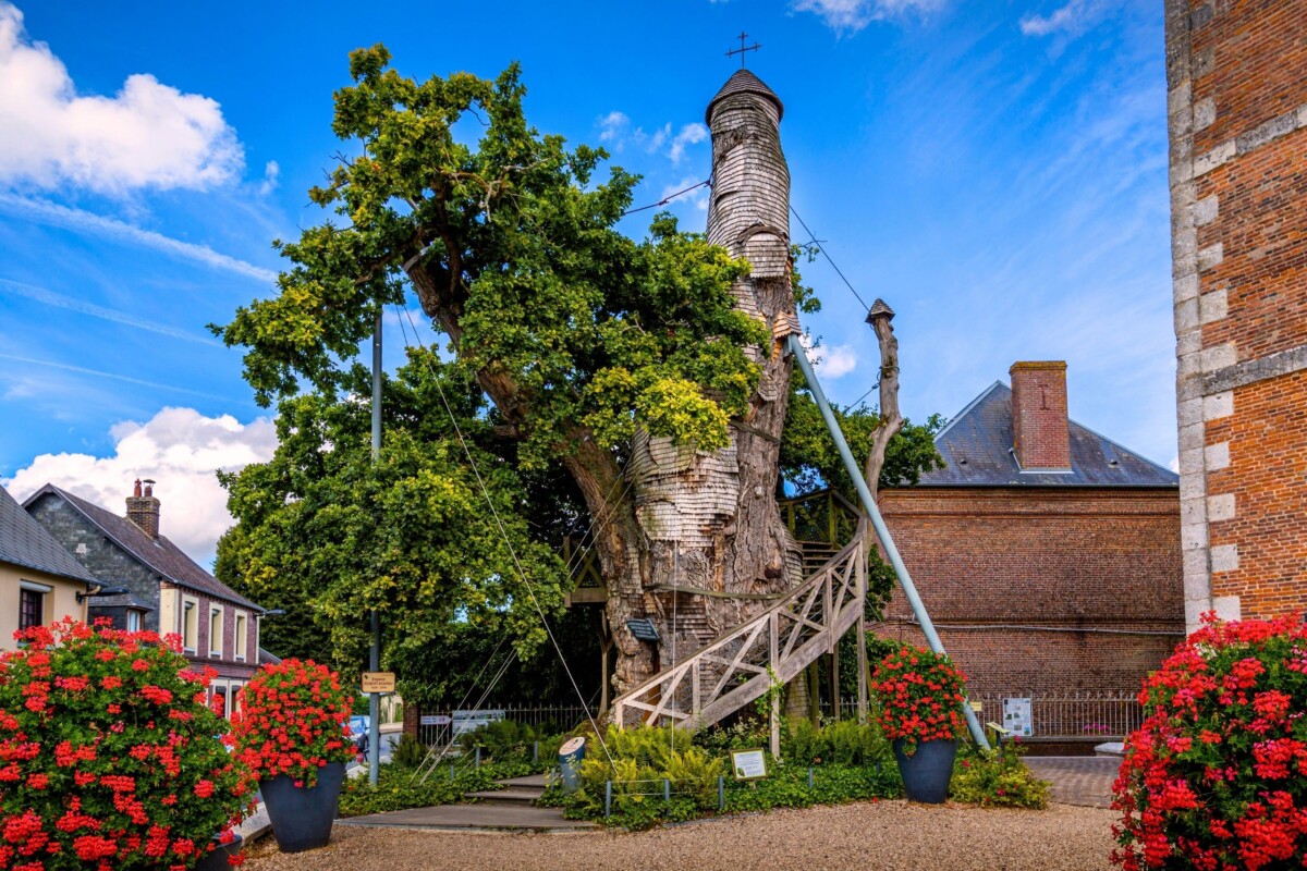 Allouville Bellefosse Francuska hrast kapelice