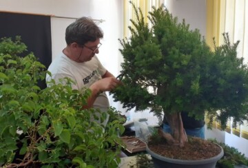 aleksandar-horvat-predsjednik-bonsai-udruga-sjeverozapad-3