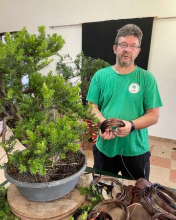 aleksandar-horvat-predsjednik-bonsai-udruga-sjeverozapad-4