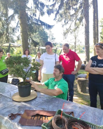 aleksandar-horvat-predsjednik-bonsai-udruga-sjeverozapad-pokazivanje