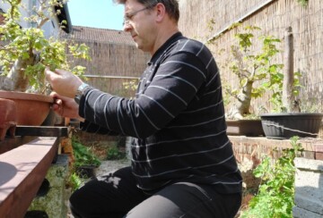 aleksandar-horvat-predsjednik-bonsai-udruga-sjeverozapad-uređivanje-drvca