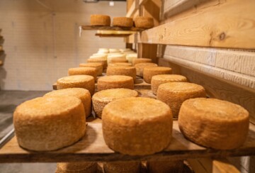 banka-parmezana-1