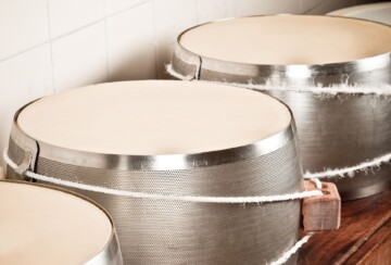 banka-parmezana-4