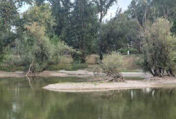 bundek-malo-jezero-ostaci