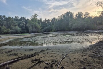 bundek-malo-jezero-suho-bara