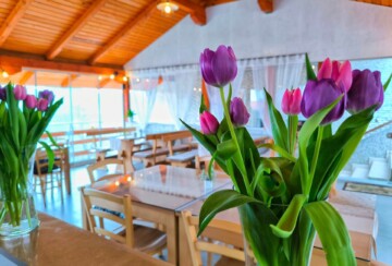 izletište-gogo-restoran
