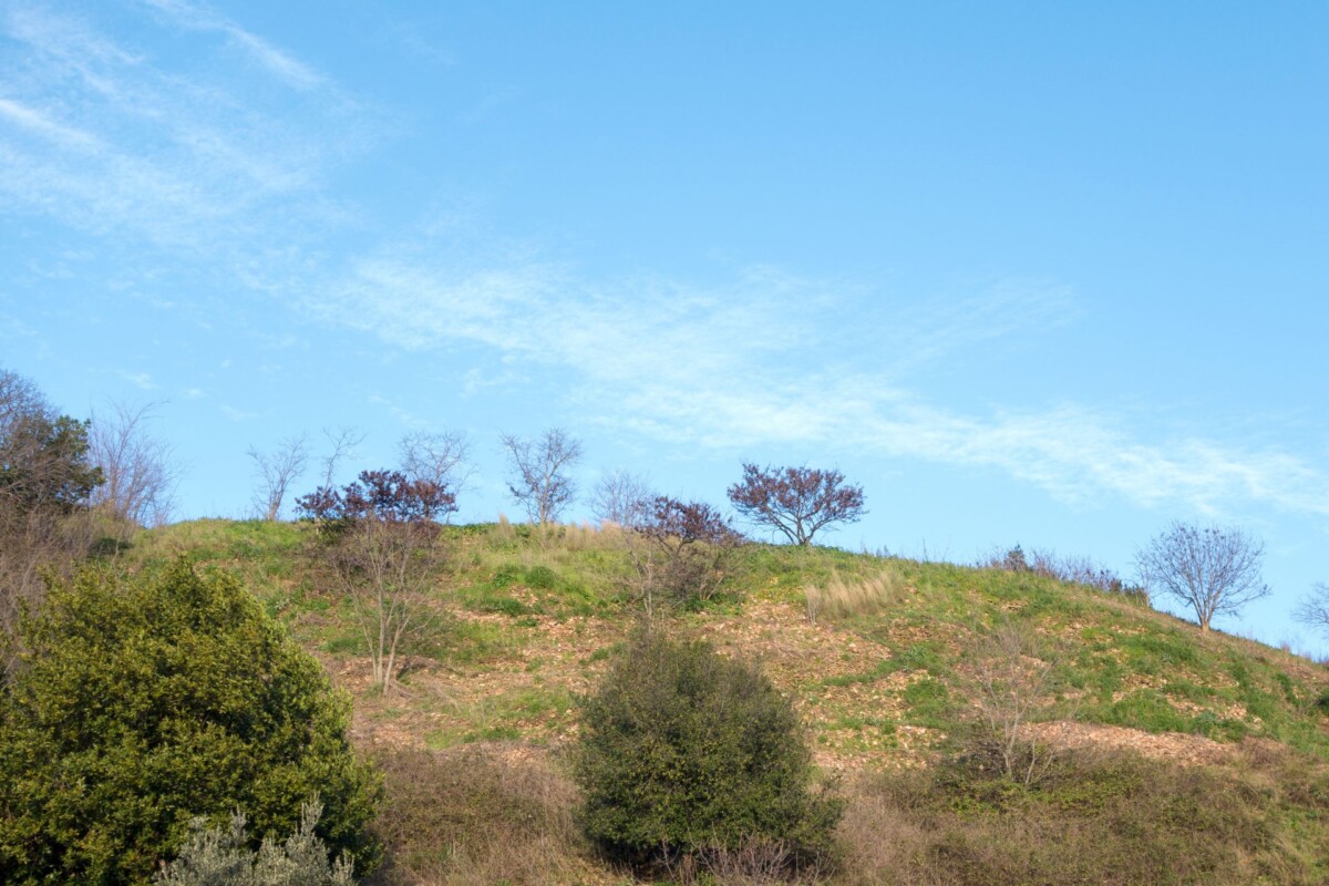 monte-testaccio-rim
