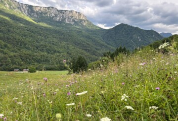 np-sutjeska-tjentište-spomenik-bitka-na-sutjeski-7