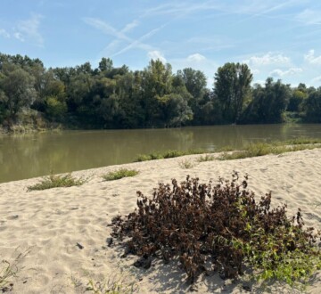plaza-kucel-dobrovcak-lijevi
