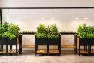 smartgarden