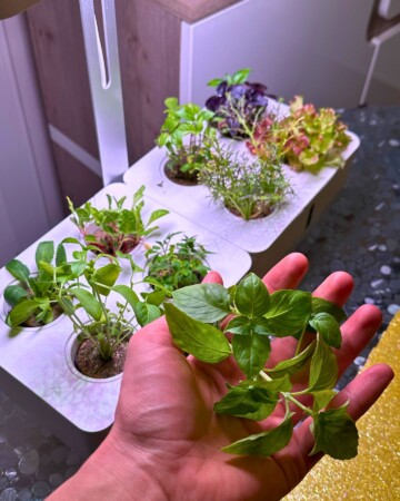 smartgarden-6