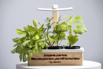 smartgarden-9