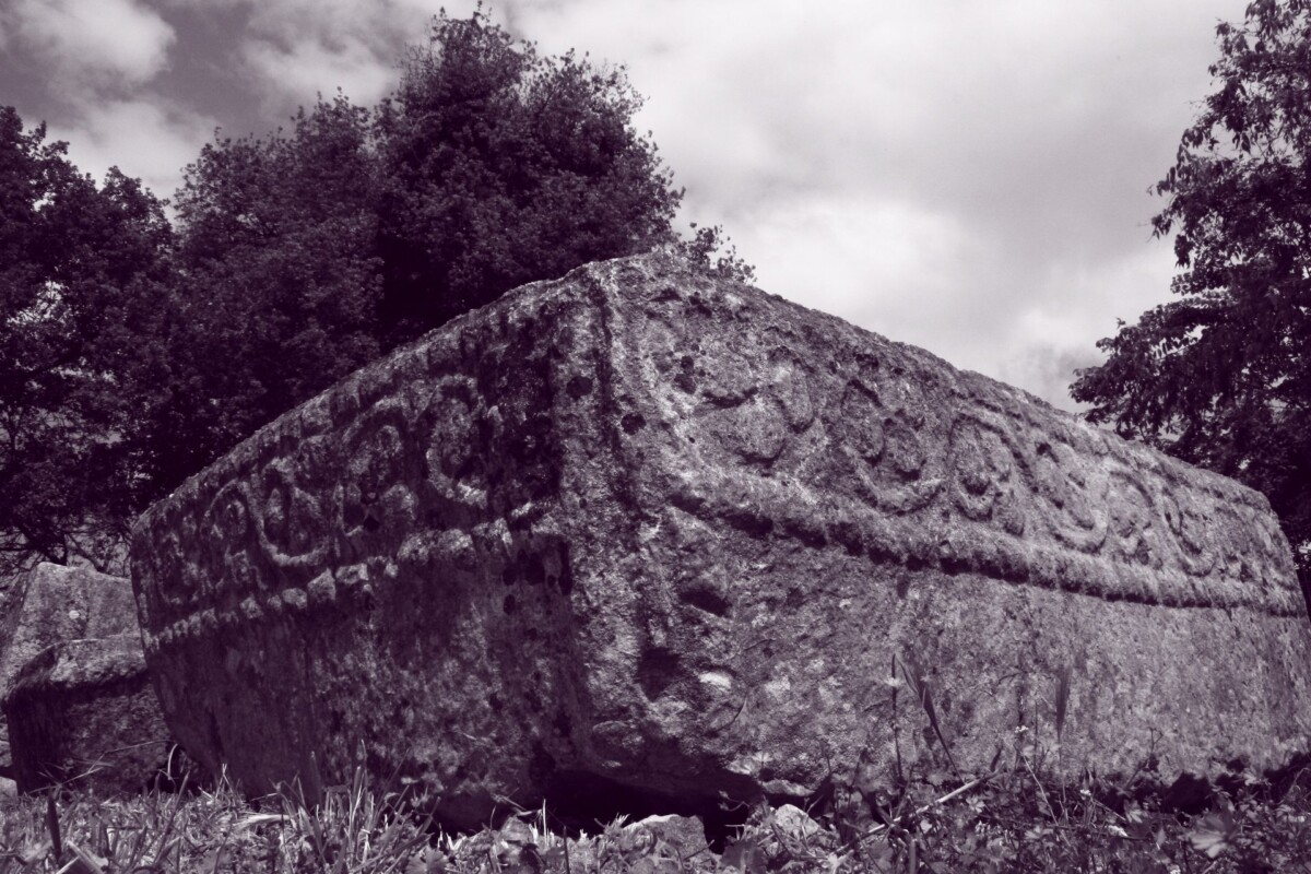 stecaci