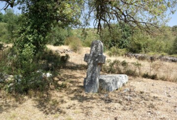 stecaci-3