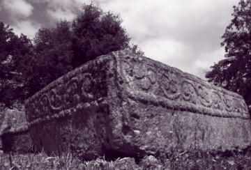 stecaci
