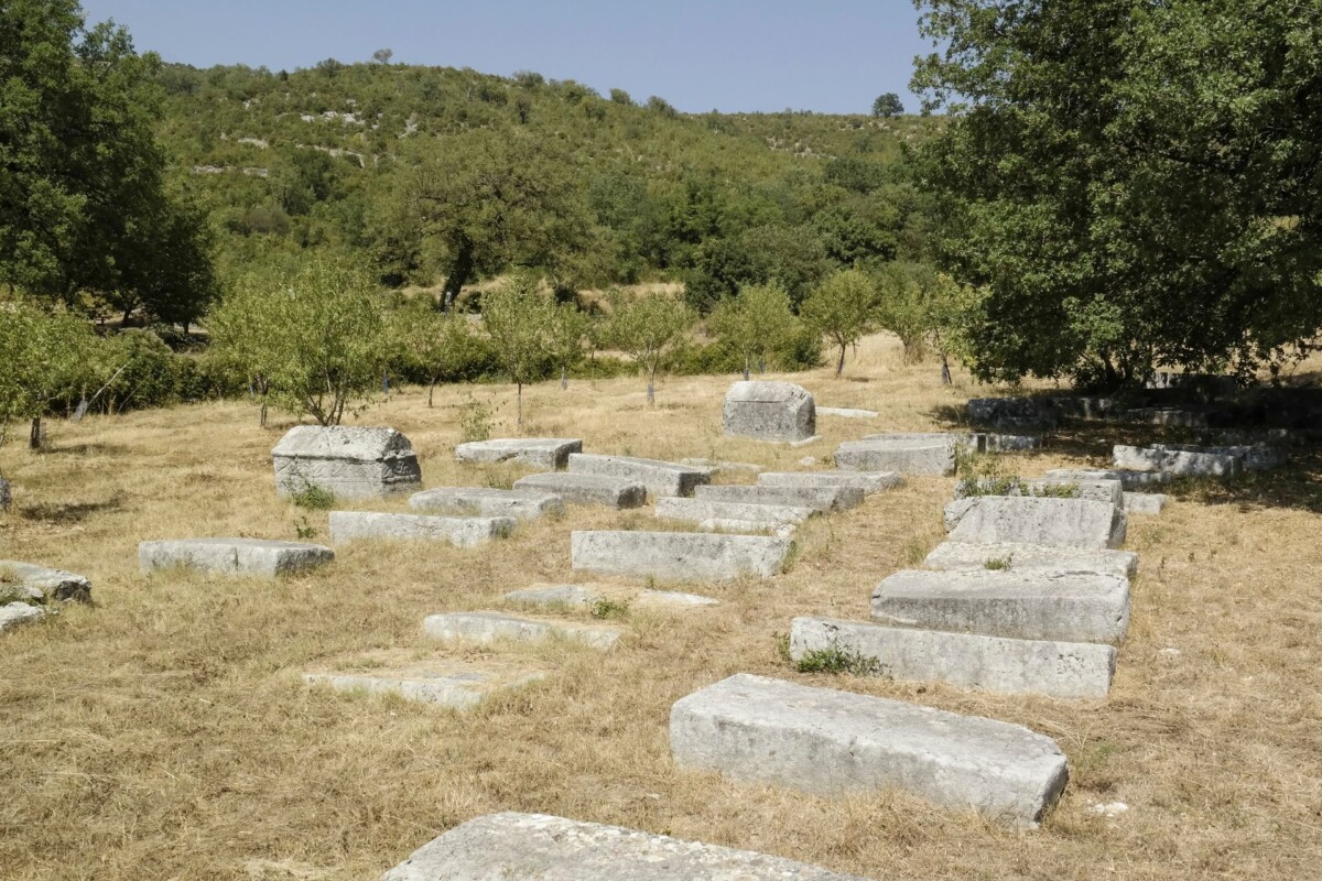 stecaci-4