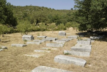 stecaci-4