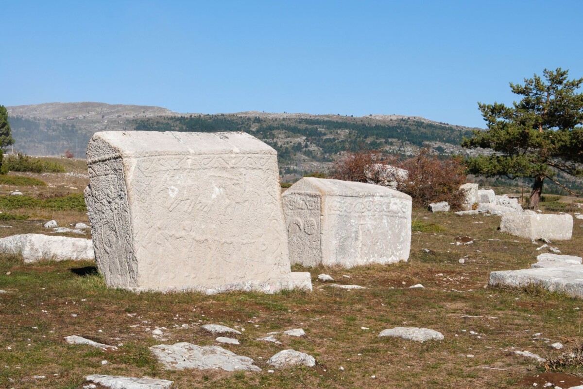 stecaci-7