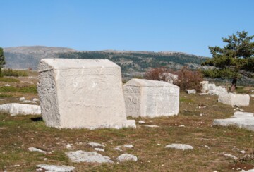 stecaci-7