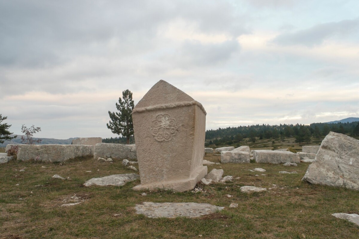 stecaci-8
