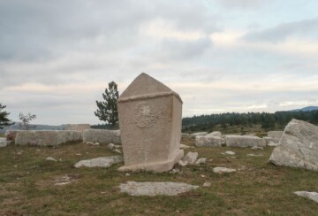 stecaci-8