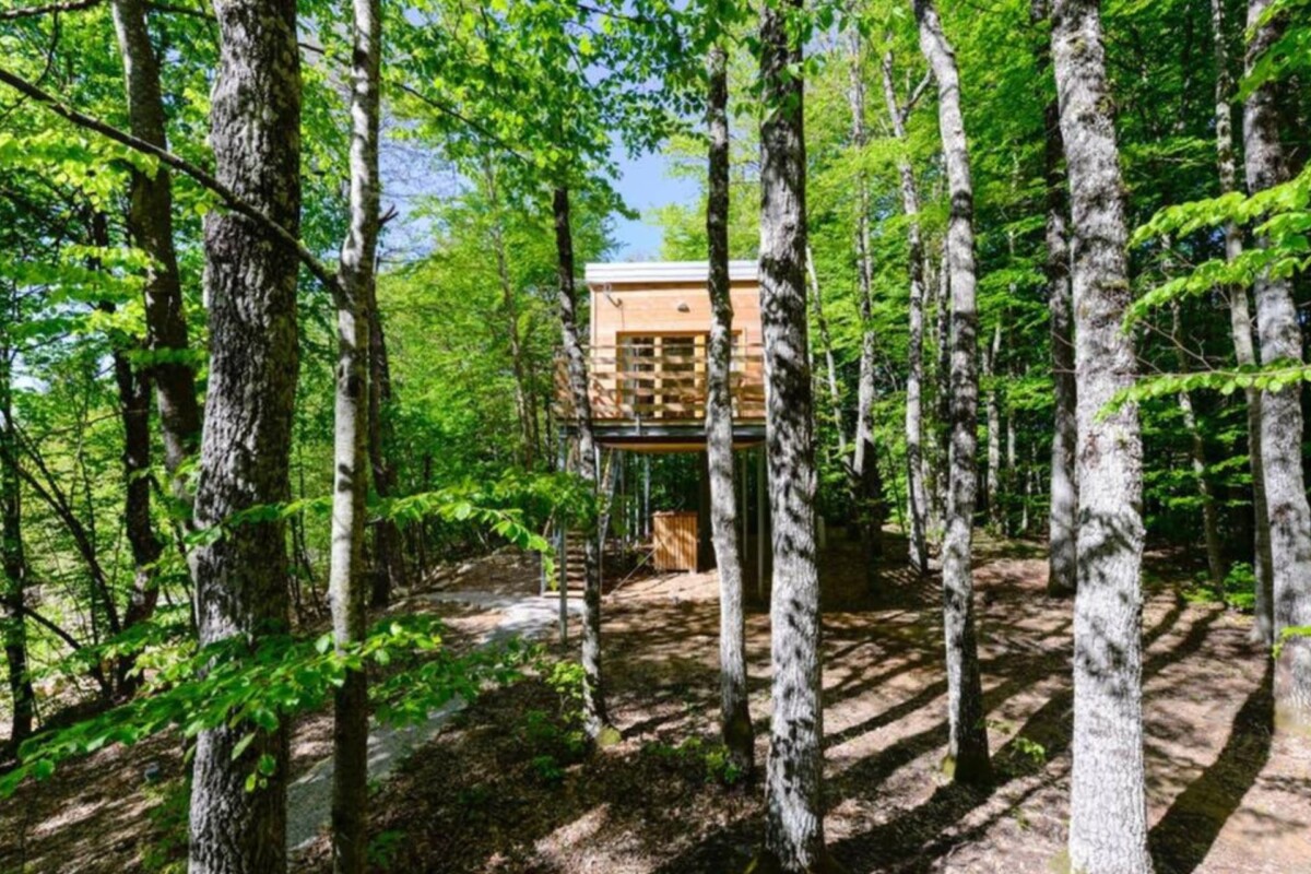 treehouse-lika