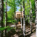 treehouse-lika