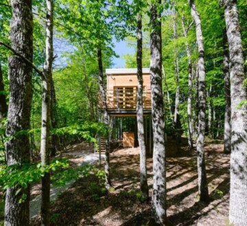 treehouse-lika