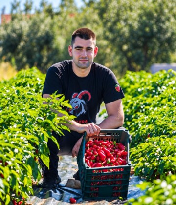 Patrik-Prnjak